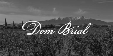 Dom Brial